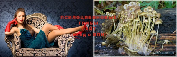 мяу мяу кристалл Алексеевка