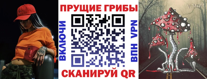mega   Игра  Псилоцибиновые грибы Cubensis 